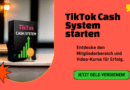 Geld verdienen auf TikTok: Ihre Schritt-für-Schritt Anleitung zum Erfolg